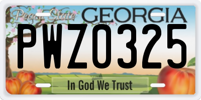 GA license plate PWZ0325
