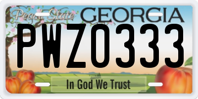 GA license plate PWZ0333