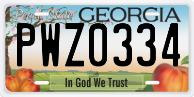 GA license plate PWZ0334
