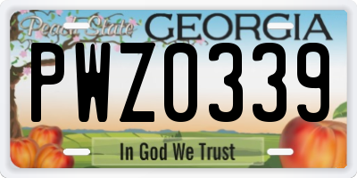 GA license plate PWZ0339