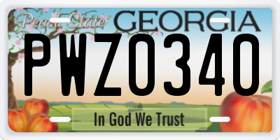 GA license plate PWZ0340