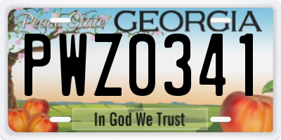 GA license plate PWZ0341