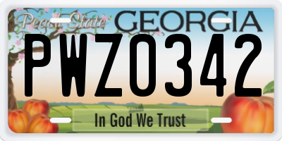 GA license plate PWZ0342