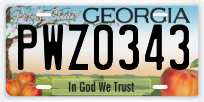 GA license plate PWZ0343