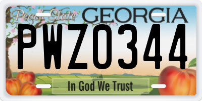 GA license plate PWZ0344