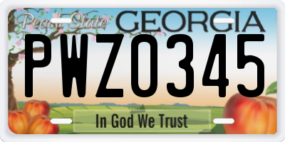 GA license plate PWZ0345