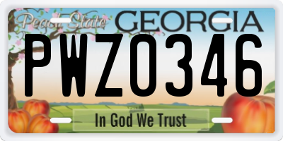 GA license plate PWZ0346