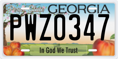 GA license plate PWZ0347