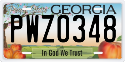 GA license plate PWZ0348