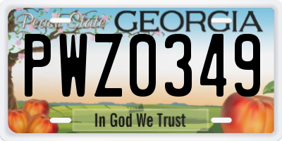 GA license plate PWZ0349