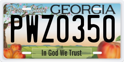 GA license plate PWZ0350