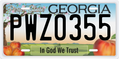 GA license plate PWZ0355