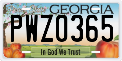 GA license plate PWZ0365
