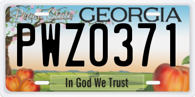 GA license plate PWZ0371
