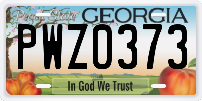 GA license plate PWZ0373
