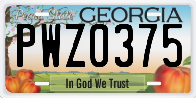 GA license plate PWZ0375