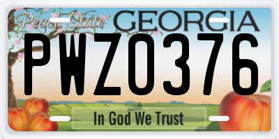 GA license plate PWZ0376