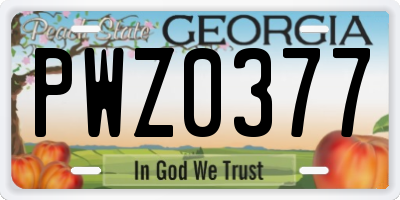 GA license plate PWZ0377