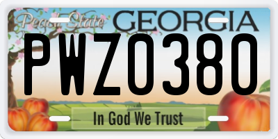 GA license plate PWZ0380