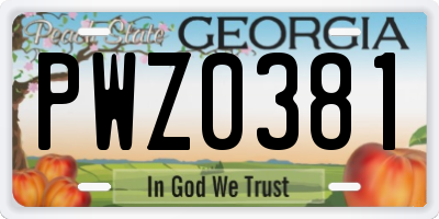 GA license plate PWZ0381
