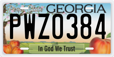 GA license plate PWZ0384