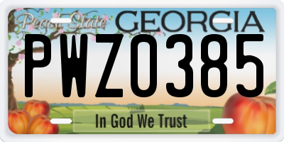 GA license plate PWZ0385