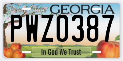 GA license plate PWZ0387
