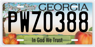 GA license plate PWZ0388