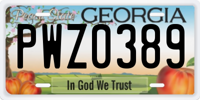 GA license plate PWZ0389