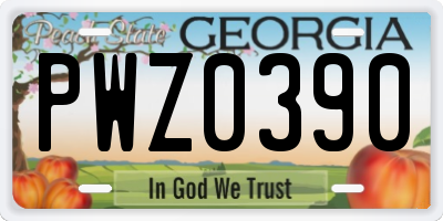 GA license plate PWZ0390