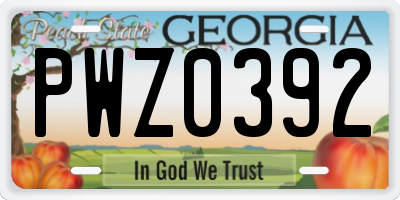 GA license plate PWZ0392