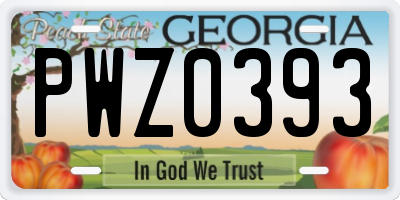 GA license plate PWZ0393