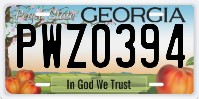 GA license plate PWZ0394