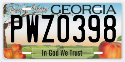 GA license plate PWZ0398