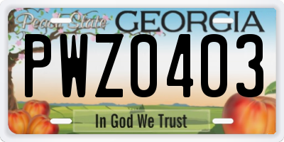 GA license plate PWZ0403