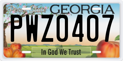 GA license plate PWZ0407