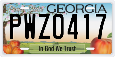 GA license plate PWZ0417