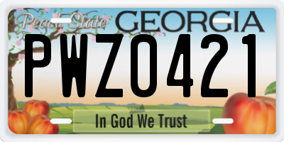 GA license plate PWZ0421