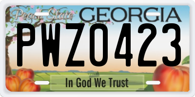 GA license plate PWZ0423