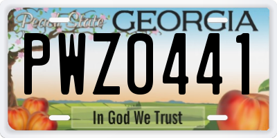 GA license plate PWZ0441