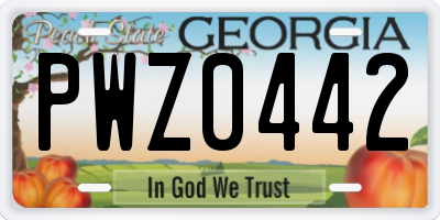 GA license plate PWZ0442