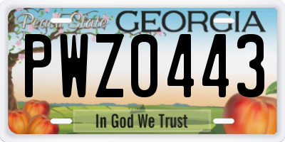 GA license plate PWZ0443