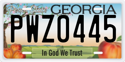 GA license plate PWZ0445