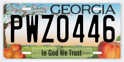GA license plate PWZ0446