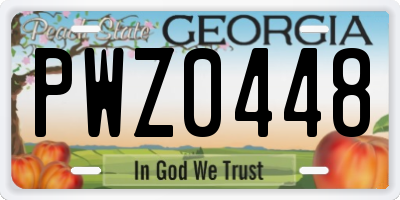 GA license plate PWZ0448