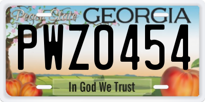 GA license plate PWZ0454