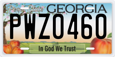 GA license plate PWZ0460
