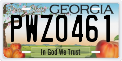GA license plate PWZ0461