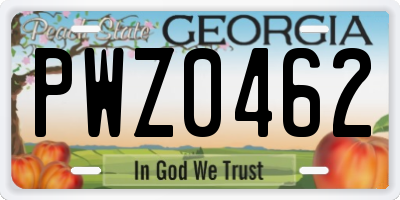 GA license plate PWZ0462