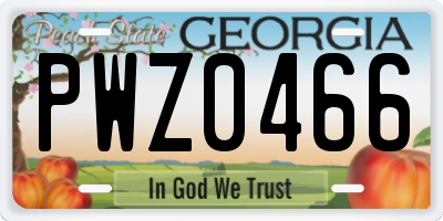 GA license plate PWZ0466